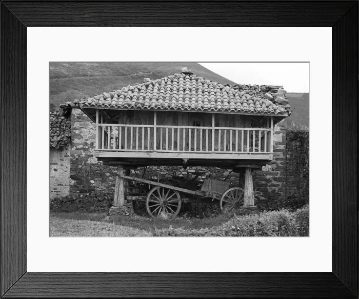 Framed Print : Galician granary - 01 Framed Print : Galician granary - 01