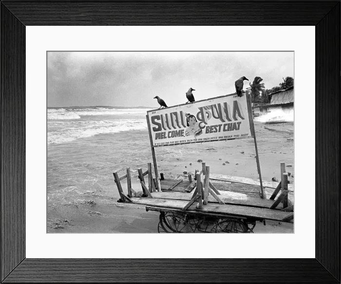 Framed Print : Crows Juhu beach, India Framed Print : Crows Juhu beach, India