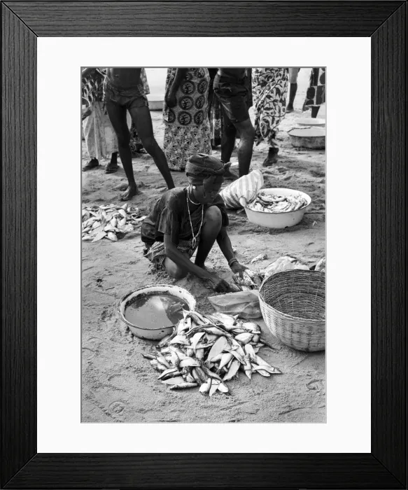 Framed Print : Woman with fresh fish in sand, Sierra Leone Framed Print : Woman with fresh fish in sand, Sierra Leone