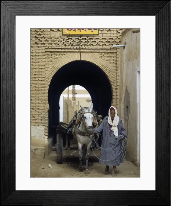 Framed Print : Man with mule cart, Neft, Tunisia Framed Print : Man with mule cart, Neft, Tunisia