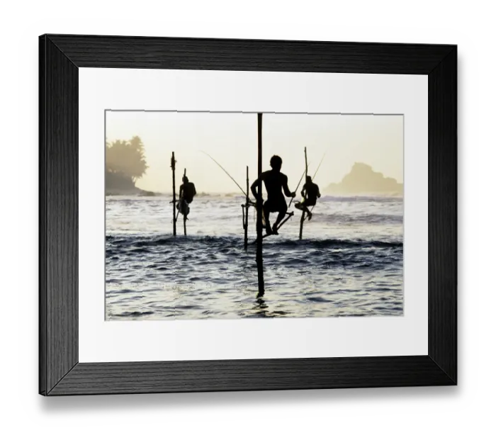 Framed Print : Pole fishermen, Sri Lanka - 1 Framed Print : Pole fishermen, Sri Lanka - 1