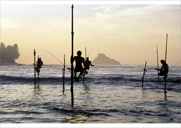 Pole fishermen, Sri Lanka - 2