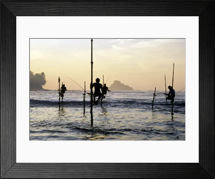 Framed Print : Pole fishermen, Sri Lanka - 2 Framed Print : Pole fishermen, Sri Lanka - 2