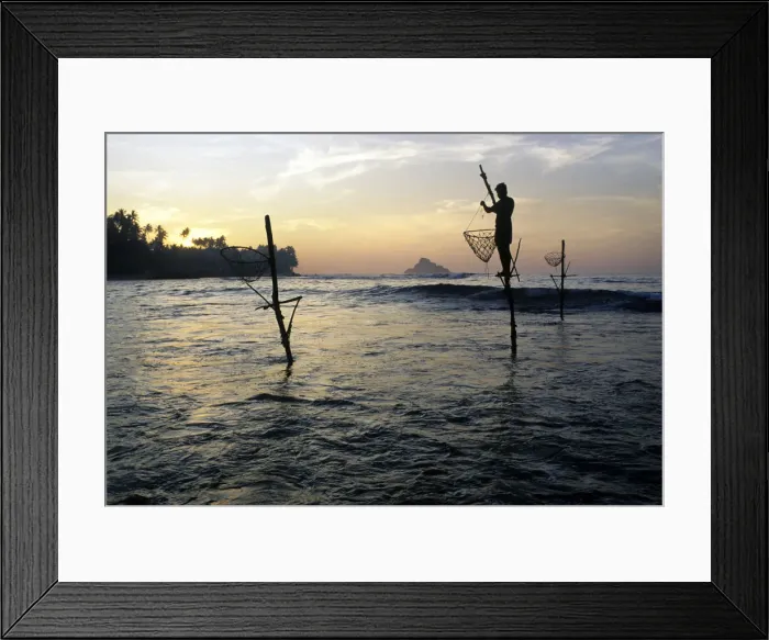 Framed Print : Pole fishermen, Sri Lanka - 5 Framed Print : Pole fishermen, Sri Lanka - 5