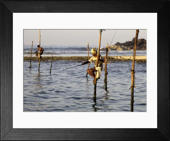 Framed Print : Pole fishermen, Sri Lanka - 6 Framed Print : Pole fishermen, Sri Lanka - 6