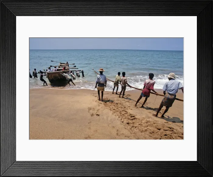 Framed Print : Sri Lankan beach fishermen hauling nets - 2 Framed Print : Sri Lankan beach fishermen hauling nets - 2