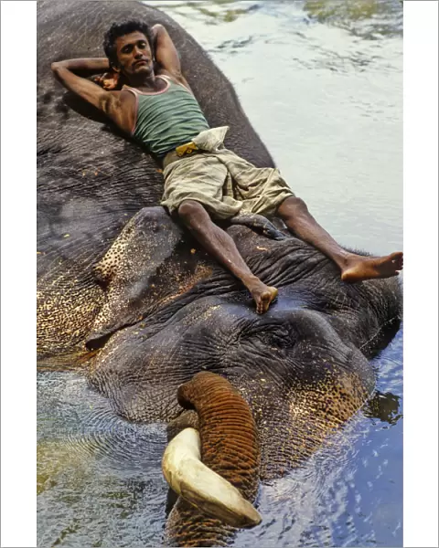 Mahout bathes an elephant, Sri Lanka - 1