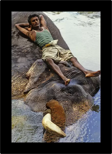 Mahout bathes an elephant, Sri Lanka - 1