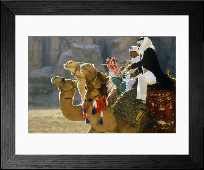 Framed Print : Three camel riders, Jordan Framed Print : Three camel riders, Jordan
