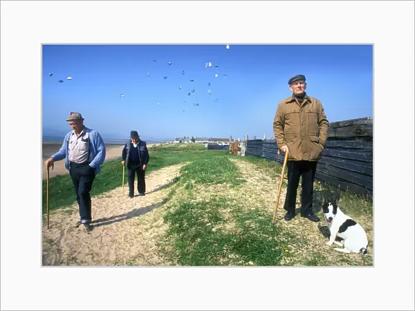 Old men and pigeons, Askam, Cumbria
