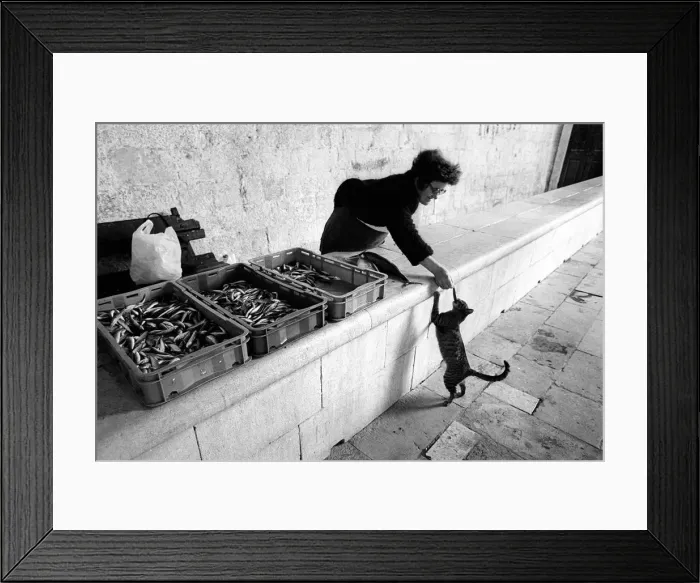 Framed Print : Reconstruction of Dubrovnik, Croatia - 9 Framed Print : Reconstruction of Dubrovnik, Croatia - 9