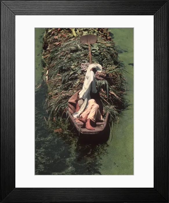 Framed Print : Sleeping Kashmir boatman Framed Print : Sleeping Kashmir boatman