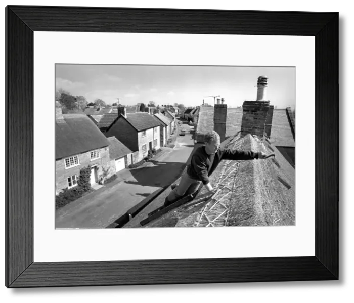 Framed Print : Thatcher working on Somerset cottage -2 Framed Print : Thatcher working on Somerset cottage -2