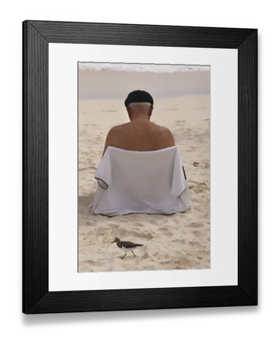 Framed Print : Wading bird and male tourist on beach, Hamilton, Bermuda Framed Print : Wading bird and male tourist on beach, Hamilton, Bermuda