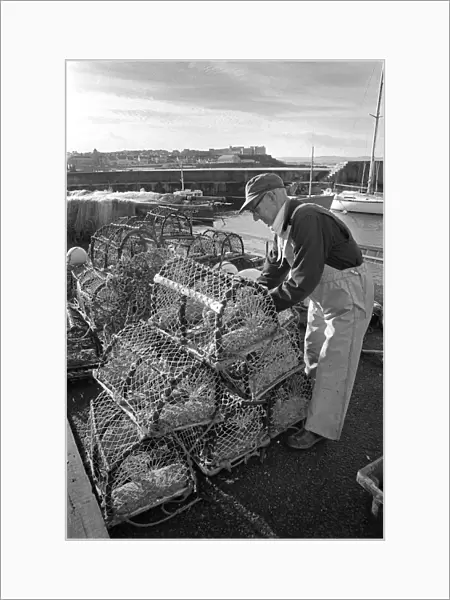 Lobster fisherman with pots on the harbour at Portstewart, N