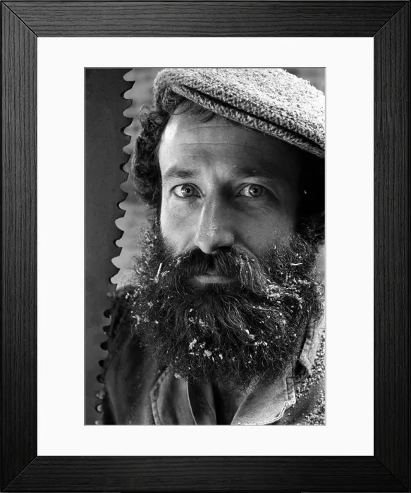 Framed Print : Wood sawyer with old double-handled saw Framed Print : Wood sawyer with old double-handled saw
