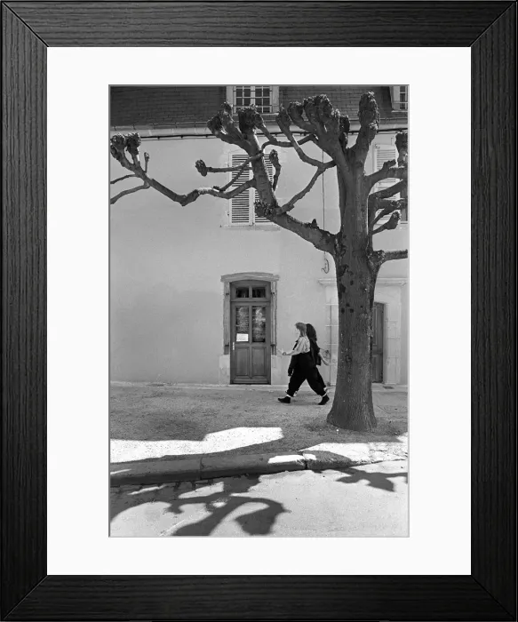 Framed Print : Two young women walk beneath a pollarded tree in Auxerre sur Framed Print : Two young women walk beneath a pollarded tree in Auxerre sur