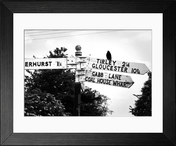 Framed Print : Blackbird on fingerpost, Gloucestershire, England Framed Print : Blackbird on fingerpost, Gloucestershire, England
