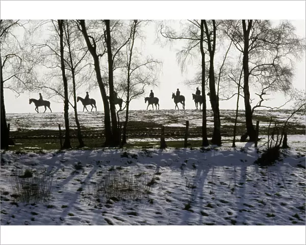 Racehorses exercising in the snow, Staffordshire, England