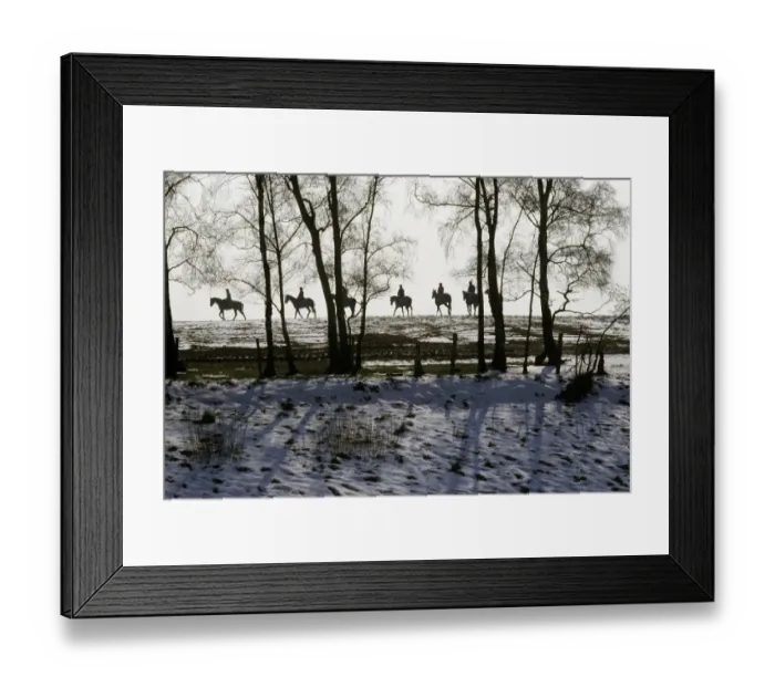 Framed Print : Racehorses exercising in the snow, Staffordshire, England Framed Print : Racehorses exercising in the snow, Staffordshire, England