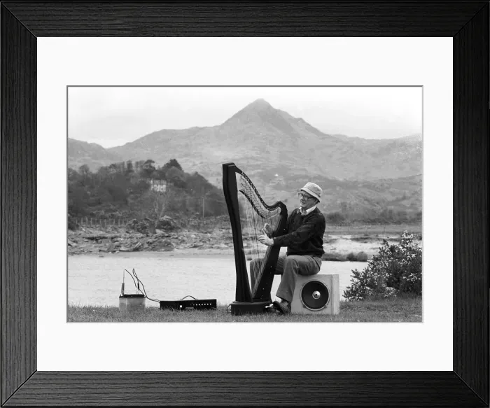 Framed Print : George Morris inventor of the 12 volt electric Welsh Harp Framed Print : George Morris inventor of the 12 volt electric Welsh Harp