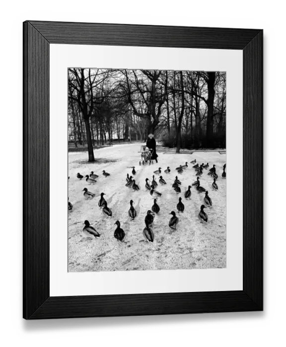 Framed Print : A mother pushes her child in a pram, Krakow, Poland Framed Print : A mother pushes her child in a pram, Krakow, Poland