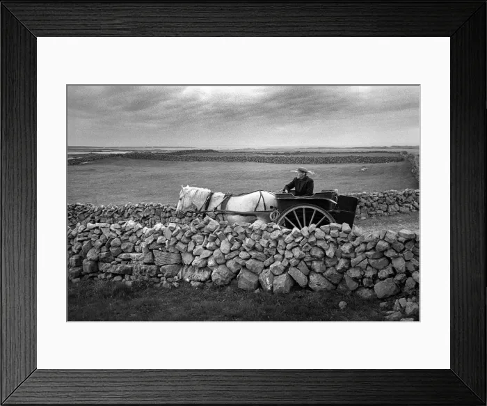 Framed Print : Man drives pony and trap between dry stone walls, Innishmore Framed Print : Man drives pony and trap between dry stone walls, Innishmore