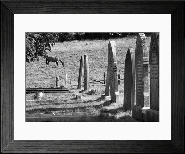 Framed Print : Horse grazes in field next to St John the Baptist graveyard Framed Print : Horse grazes in field next to St John the Baptist graveyard