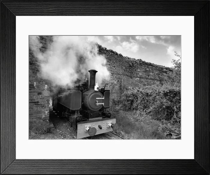Framed Print : The Talyllyn Narrow Guage Railway North Wales Framed Print : The Talyllyn Narrow Guage Railway North Wales