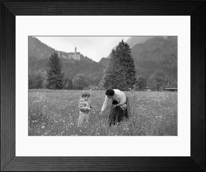 Framed Print : Picking flowers below Ludwigs Castle, Fussen, Bavaria Framed Print : Picking flowers below Ludwigs Castle, Fussen, Bavaria
