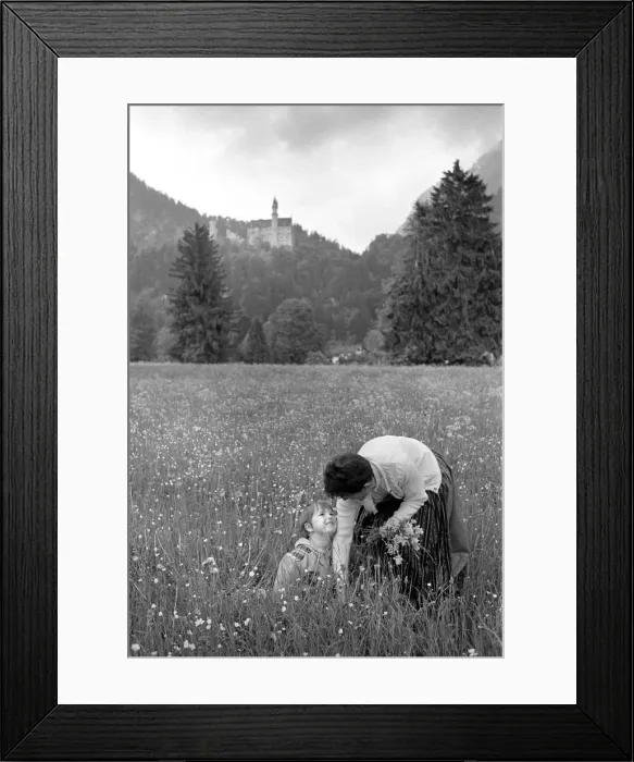Framed Print : Picking flowers below Ludwigs Castle, Fussen, Bavaria Framed Print : Picking flowers below Ludwigs Castle, Fussen, Bavaria