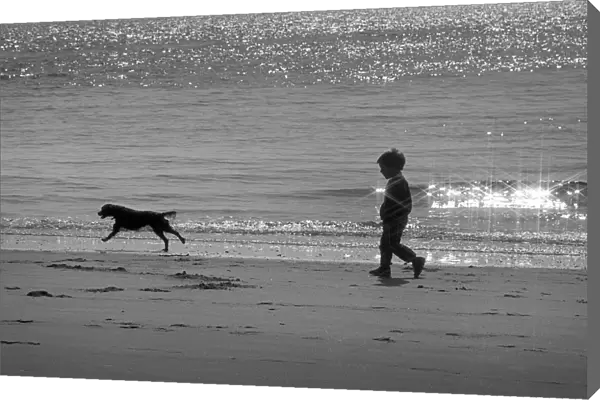 Small boy walks with dog along the tideline - Tenby Beach