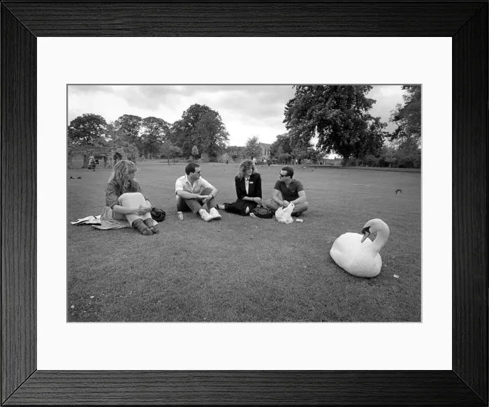 Framed Print : On the lawns of Abbey Gardens Bury St Edmunds, Suffolk Framed Print : On the lawns of Abbey Gardens Bury St Edmunds, Suffolk