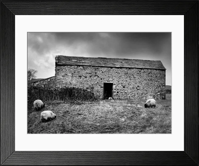 Framed Print : A stone barn on a farm in Coverdale in the Yorkshire Dales Framed Print : A stone barn on a farm in Coverdale in the Yorkshire Dales