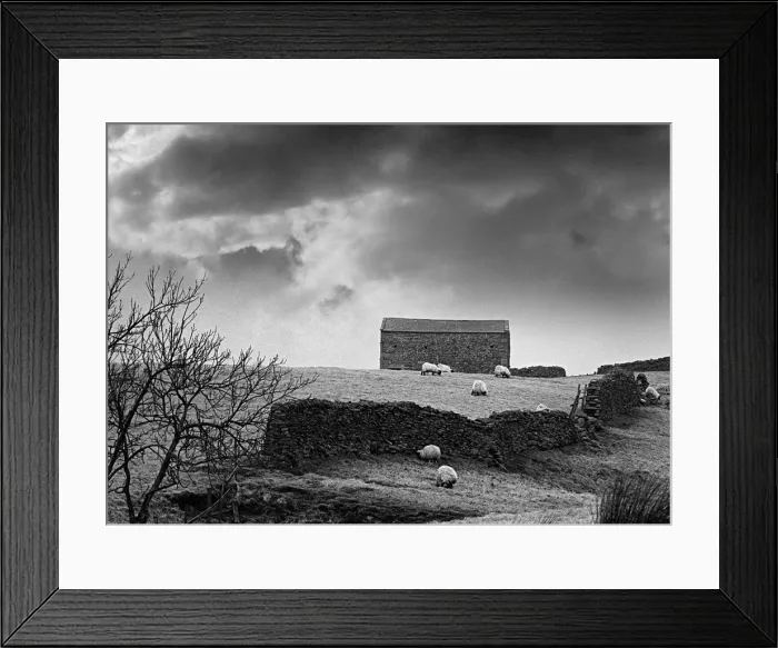 Framed Print : A stone barn on a farm in Coverdale in the Yorkshire Dales Framed Print : A stone barn on a farm in Coverdale in the Yorkshire Dales