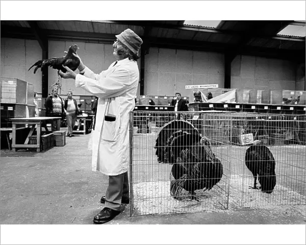 Judge with exhibit at poultry show, Staffordshire, England