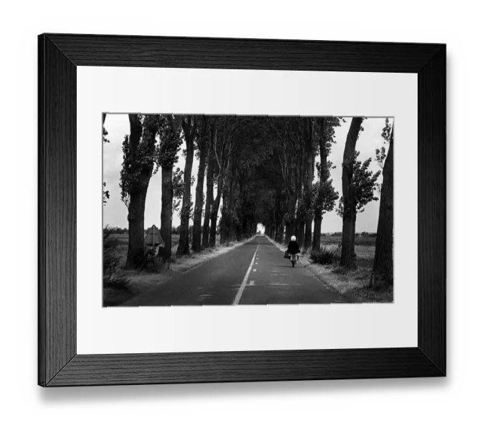 Framed Print : A woman rides a moped along an avenue of trees, France Framed Print : A woman rides a moped along an avenue of trees, France