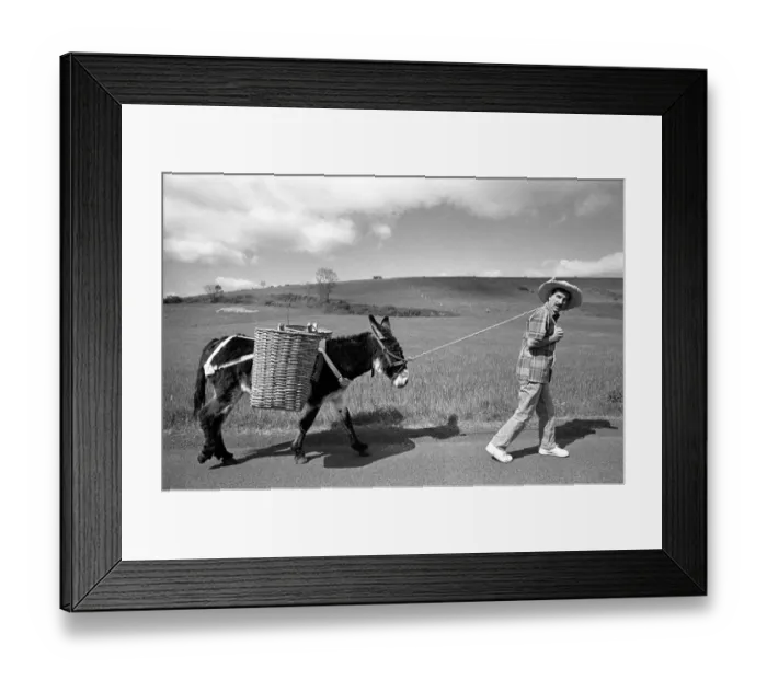 Framed Print : Hunter Davies leads a donkey along a road in rural France Framed Print : Hunter Davies leads a donkey along a road in rural France