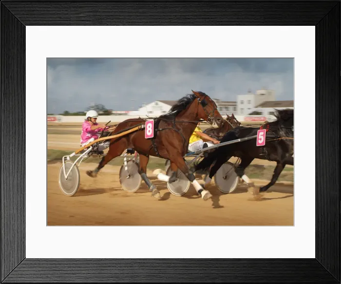 Framed Print : Horse trotting races - Hipodromo, Sant Lluis, Mahon, Menorca Framed Print : Horse trotting races - Hipodromo, Sant Lluis, Mahon, Menorca