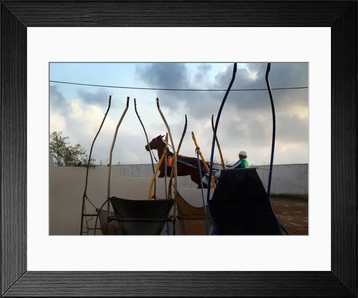 Framed Print : Horse trotting races - Hipodromo, Sant Lluis, Mahon, Menorca Framed Print : Horse trotting races - Hipodromo, Sant Lluis, Mahon, Menorca