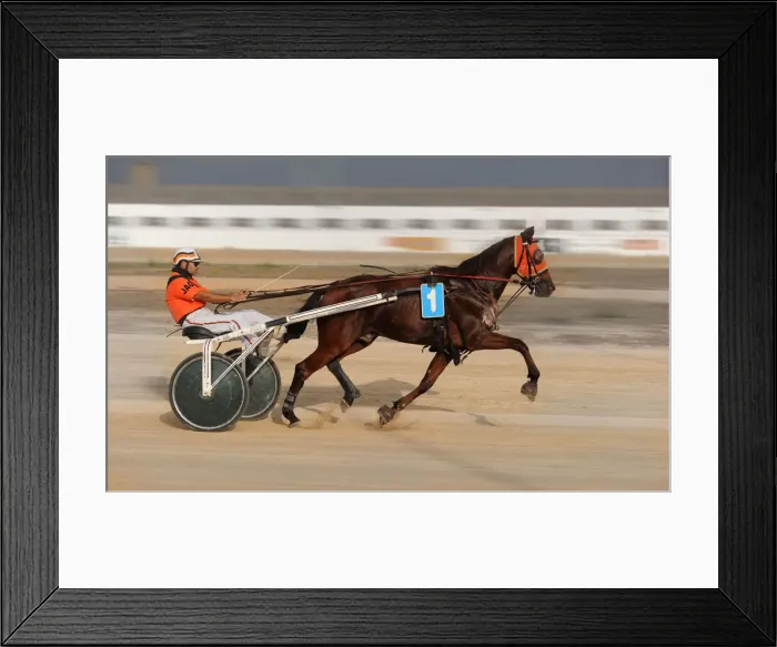 Framed Print : Horse trotting races - Hipodromo, Sant Lluis, Mahon, Menorca Framed Print : Horse trotting races - Hipodromo, Sant Lluis, Mahon, Menorca