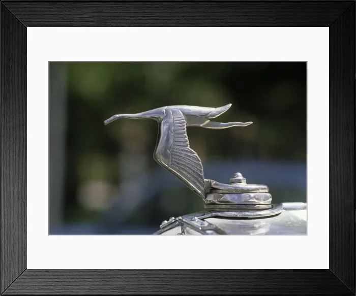 Framed Print : Hispano Suiza car rally - Santander to Madrid Framed Print : Hispano Suiza car rally - Santander to Madrid