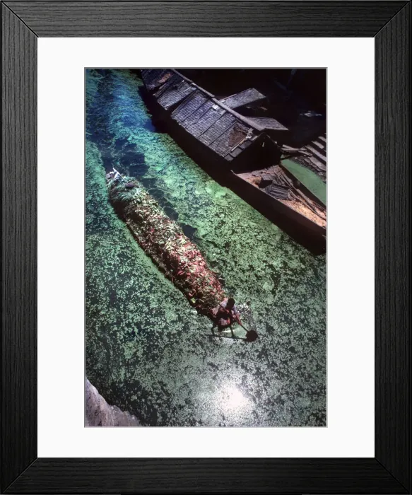Framed Print : Kashmir - Srinagar. A man paddles a boat Framed Print : Kashmir - Srinagar. A man paddles a boat