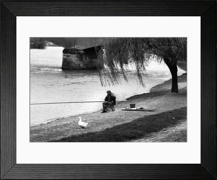 Framed Print : White goose and fisherman Beaumont sur Oise, France Framed Print : White goose and fisherman Beaumont sur Oise, France