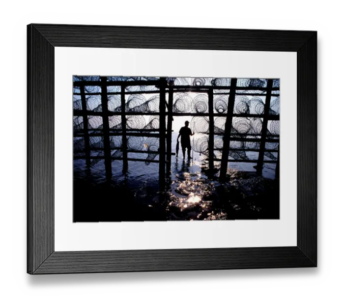 Framed Print : Traditional River Severn salmon fisherman Framed Print : Traditional River Severn salmon fisherman