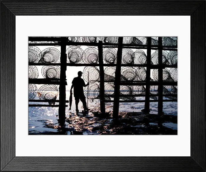 Framed Print : Traditional River Severn salmon fisherman Framed Print : Traditional River Severn salmon fisherman