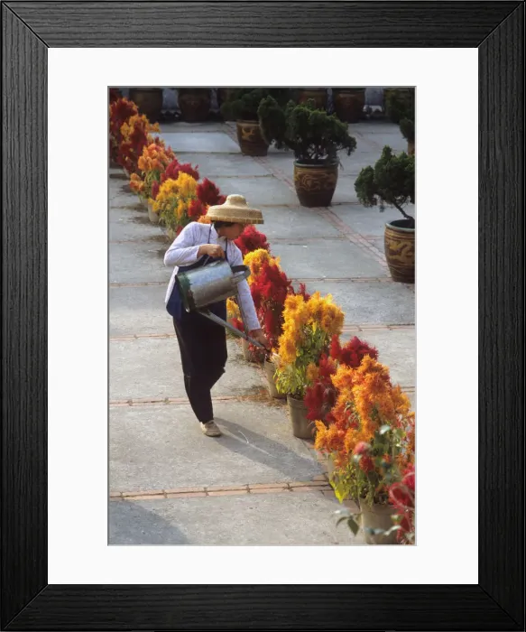 Framed Print : Woman in a straw sunhat watering pots of flowers, Lantau, HK Framed Print : Woman in a straw sunhat watering pots of flowers, Lantau, HK