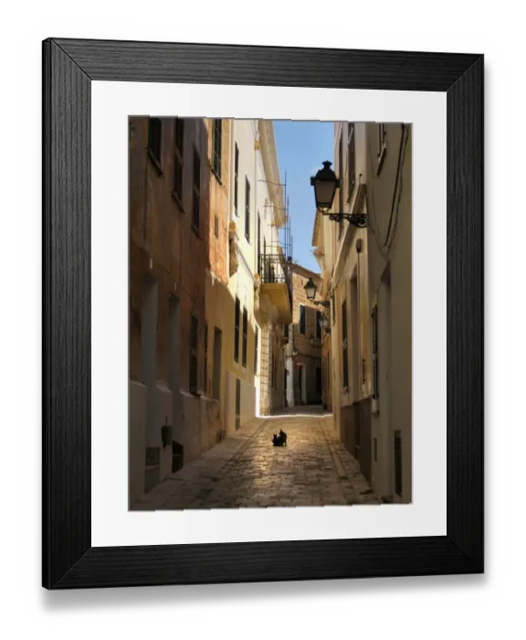 Framed Print : Cat and kitten sit in the middle of an alleyway, Ciutedella Framed Print : Cat and kitten sit in the middle of an alleyway, Ciutedella