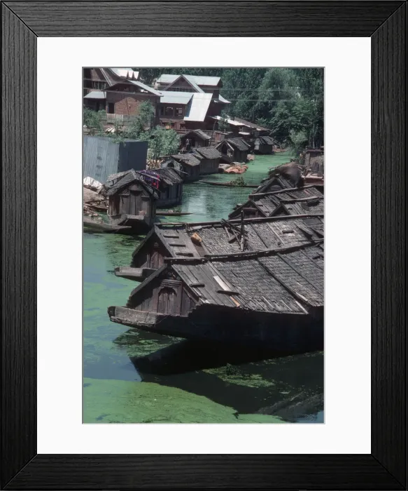 Framed Print : Srinagar, Kashmir - floating houseboats Framed Print : Srinagar, Kashmir - floating houseboats