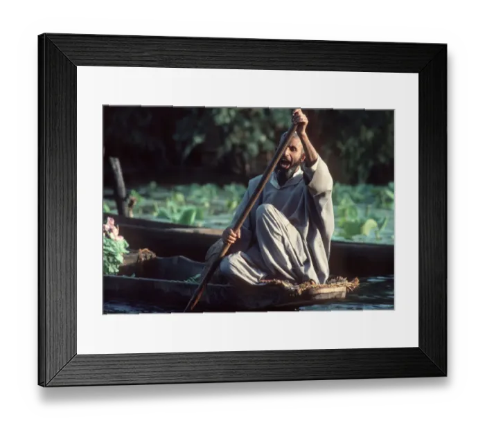 Framed Print : Kashmir - boatman paddling his flat-bottomed shikara boat Framed Print : Kashmir - boatman paddling his flat-bottomed shikara boat